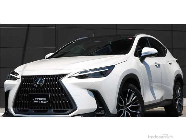 2023 Lexus NX