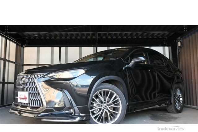 2023 Lexus NX