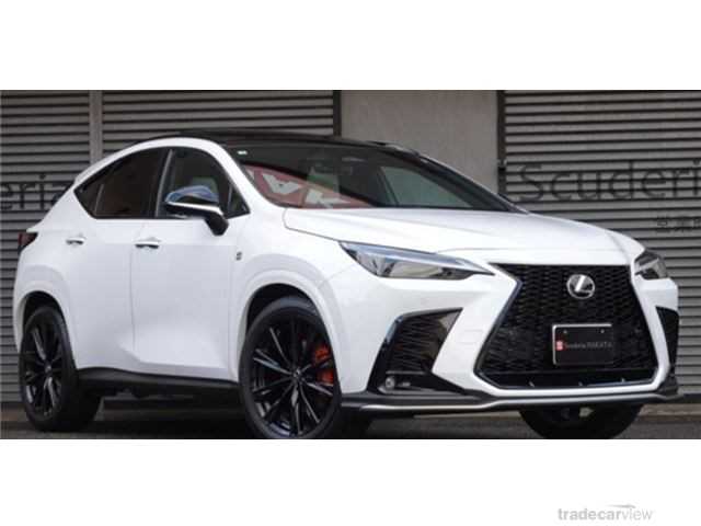 2023 Lexus NX