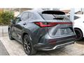 2023 Lexus NX