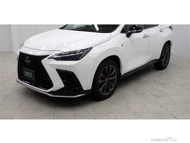 2023 Lexus NX