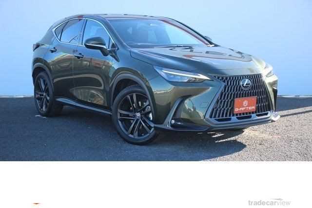 2022 Lexus NX