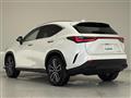 2022 Lexus NX