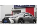 2022 Lexus NX