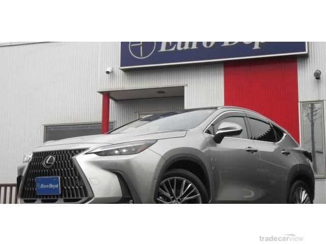 2022 Lexus NX