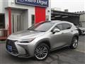 2022 Lexus NX