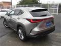 2022 Lexus NX