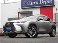 2022 Lexus NX