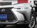 2022 Lexus NX