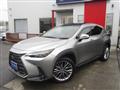 2022 Lexus NX