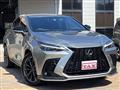 2022 Lexus NX