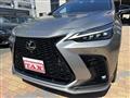 2022 Lexus NX