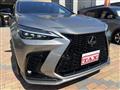 2022 Lexus NX