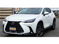 2022 Lexus NX