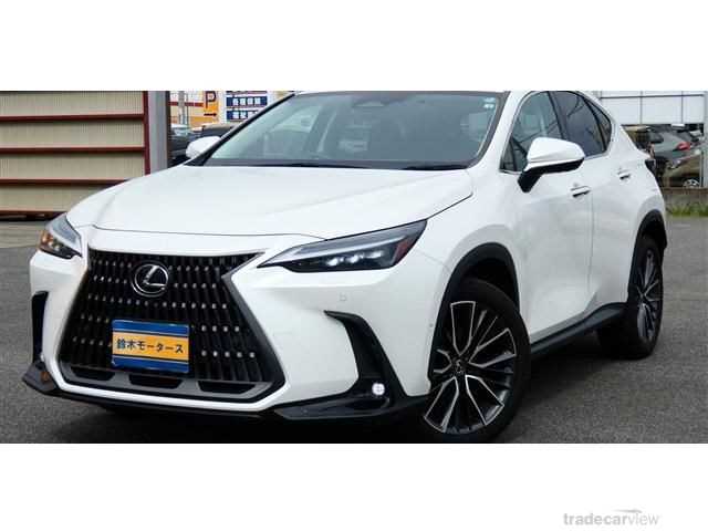 2022 Lexus NX