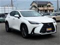 2022 Lexus NX