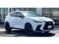 2022 Lexus NX