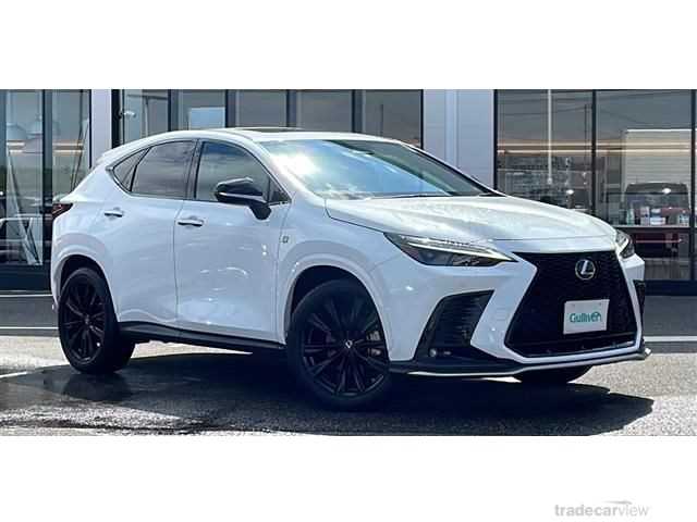 2022 Lexus NX