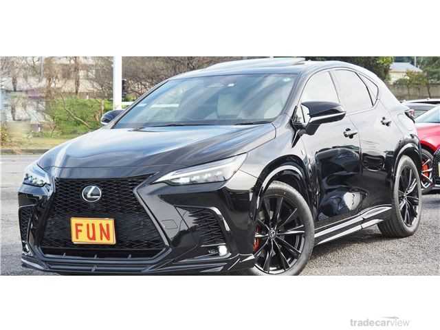 2022 Lexus NX