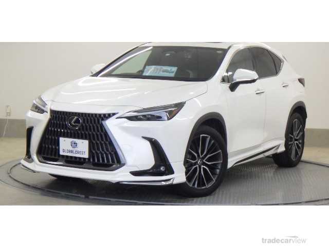 2022 Lexus NX