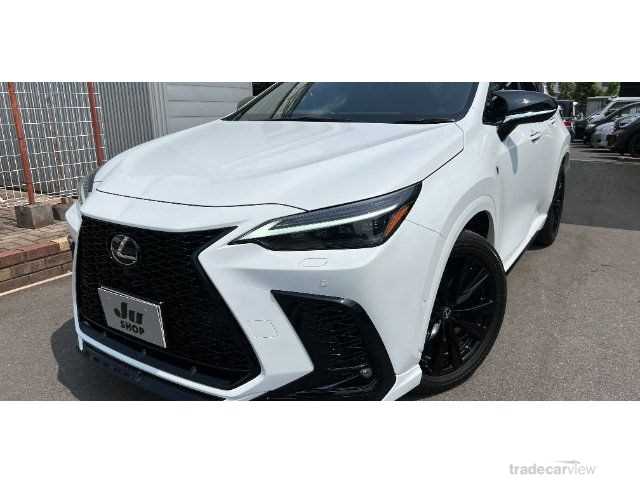 2022 Lexus NX