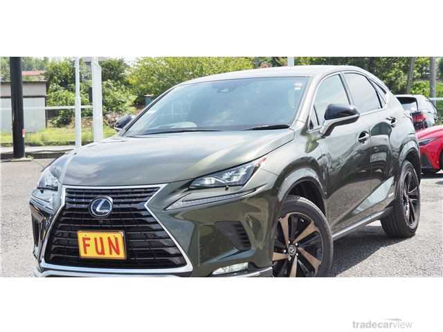 2021 Lexus NX