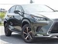 2021 Lexus NX