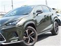 2021 Lexus NX