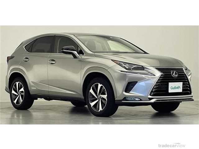 2021 Lexus NX