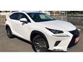 2021 Lexus NX