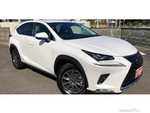 2021 Lexus NX