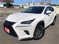 2021 Lexus NX