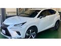 2021 Lexus NX