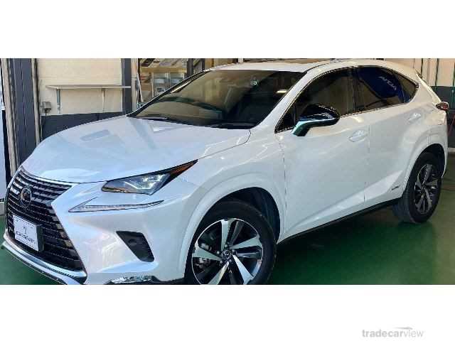 2021 Lexus NX