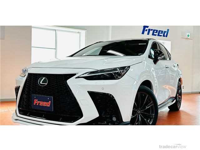 2021 Lexus NX