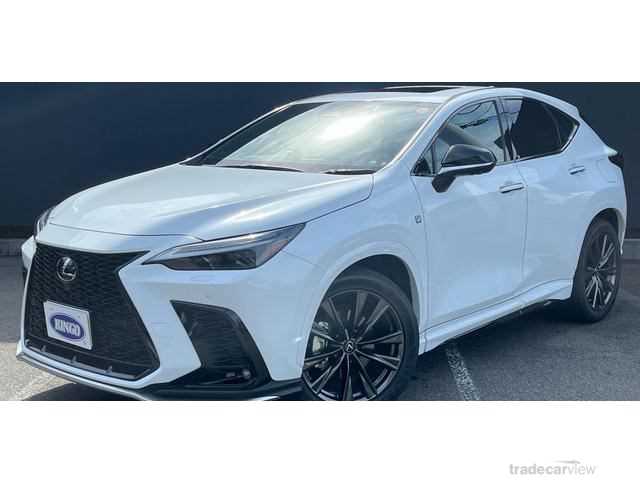 2021 Lexus NX