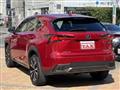 2020 Lexus NX