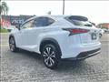 2020 Lexus NX