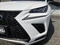 2020 Lexus NX