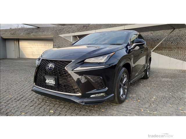 2020 Lexus NX