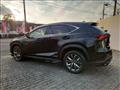 2020 Lexus NX