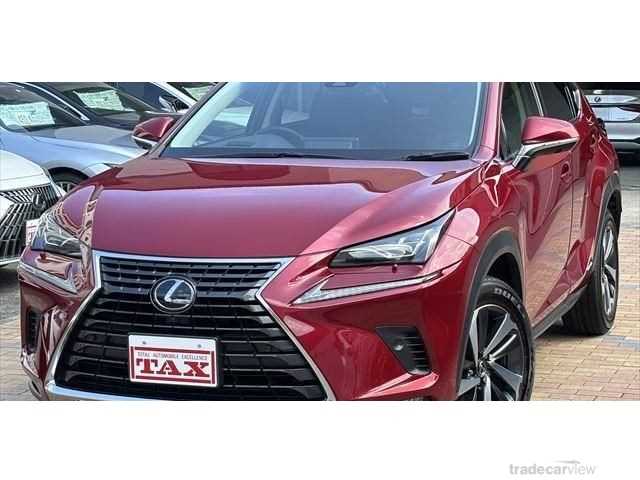 2019 Lexus NX