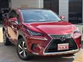 2019 Lexus NX