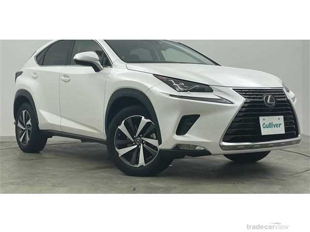 2019 Lexus NX