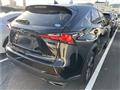 2019 Lexus NX