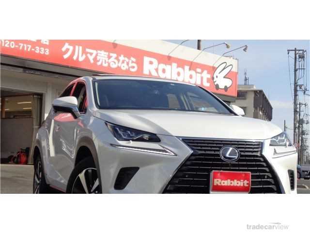 2019 Lexus NX