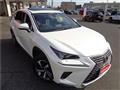 2019 Lexus NX