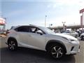 2019 Lexus NX