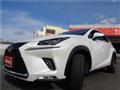 2019 Lexus NX