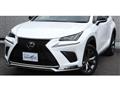 2019 Lexus NX